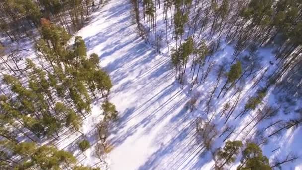 4k antenowe. Słoneczne zimowe w parku, drewna z rzeki zamrożony i cienie. Top vew — Wideo stockowe