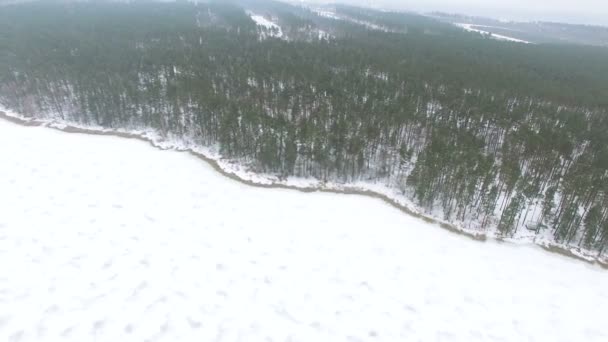 4k antenowe. Wybrzeże w zamarzniętym jeziorze i drewna. Pejzaż zimowy — Wideo stockowe