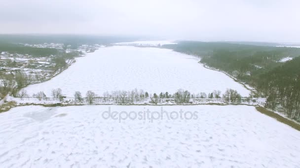 4K Aerial. Берег замёрзшего озера с плотиной и деревом. Зимний пейзаж — стоковое видео