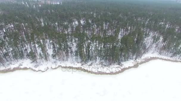 4k Antenne. sanfter Flug über die zugefrorene Seeküste. Landschaft, Draufsicht — Stockvideo