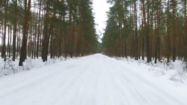  4k hava. Ormandaki kış yol üzerinde uçuş. 