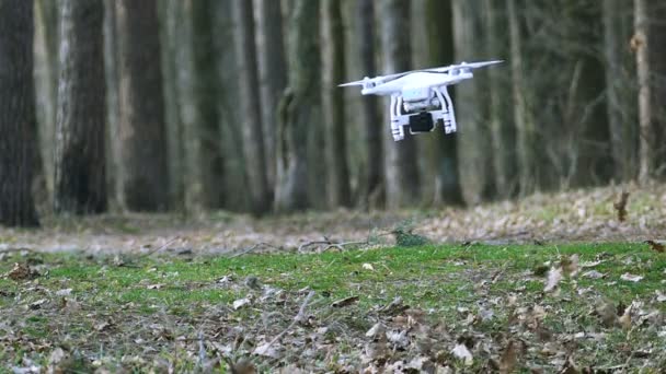 Slow-motion. Lage vliegende drone in hout in winderige dag — Stockvideo