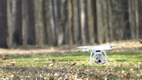 Медленное движение. Низколетящий дрон поднимает листья ветра от винтов — стоковое видео