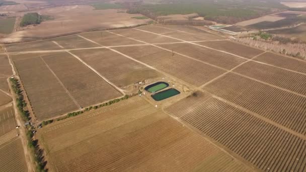 4K Aerial. Voo sobre Campos na agricultura zona rural com lago — Vídeo de Stock