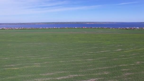 4k luchtfoto. Over Lente groen veld en meer — Stockvideo