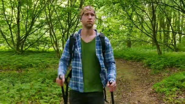 4 k. Man wandelaar op groene lente bos weg. Gezonde levensstijl. — Stockvideo