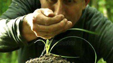 Adam dikkatle bir palm yeşil çim sulanır. Doğa sembolü korumak