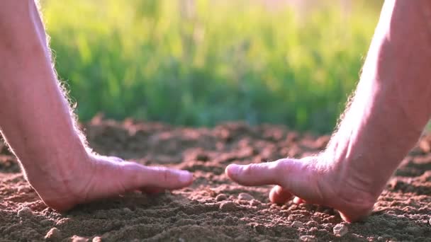 Χέρι του άνδρα αγρότης και καλλιεργήσιμης γης, βρωμιά. Κοντινό πλάνο. Προστασία της φύσης — Αρχείο Βίντεο