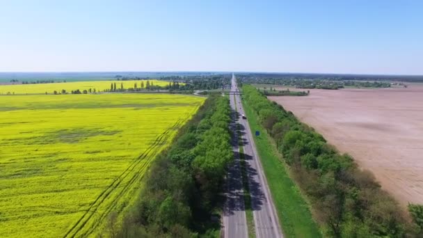 4k luchtfoto. Vliegen over de snelweg met auto's in het landelijk gebied en geel veld. — Stockvideo