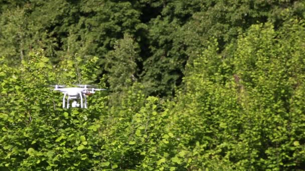 Drone filmando madeira verde na hora de verão com volta. Tecnologias modernas — Vídeo de Stock