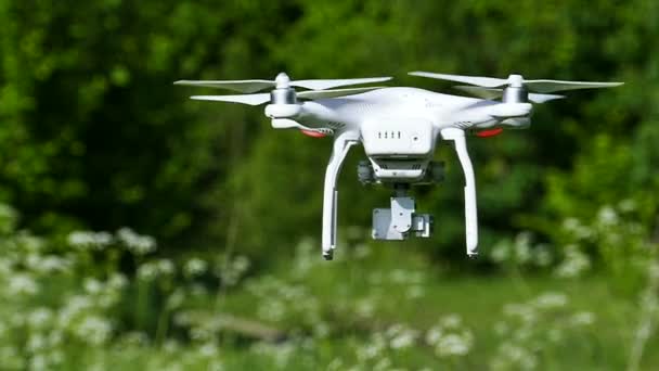 Zeitlupe. Weiße Drohne filmt im Sommer grünes Holz. — Stockvideo