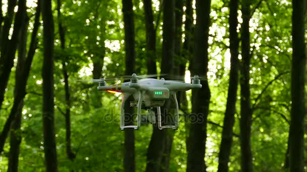 En cámara lenta. Drone blanco filmando madera verde en verano . — Vídeos de Stock