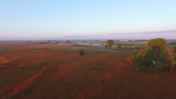 Aérea 4K. Volar por la mañana sobre el campo verde con luz solar roja en el área rural — Vídeos de Stock