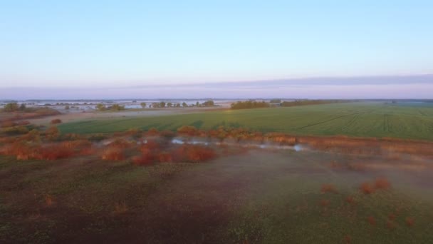 4k antenn. Morgon flyga över fältet med solljus i landsbygdsområde. Dimma över liten flod — Stockvideo