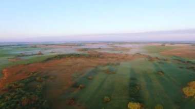 4k hava. Sabah sinek ağaçlar gölgeler ile alanın üzerinde. Dönüş