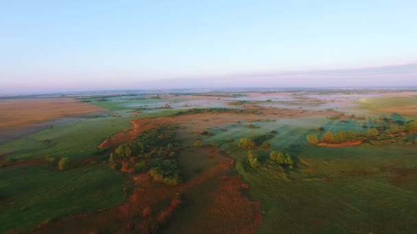 4k letecké. Ráno letět přes pole s stíny stromů — Stock video