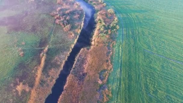 4k antenn. Morgon natur landskap med kameran att höja — Stockvideo