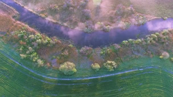 4K Aerial. Pemandangan alam pagi dengan arus kecil dan kabut. Tampilan atas — Stok Video