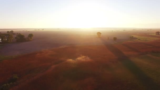 4k εναέρια. Όμορφη ανατολή του ηλίου πάνω από αγροτική περιοχή. Πεδία — Αρχείο Βίντεο