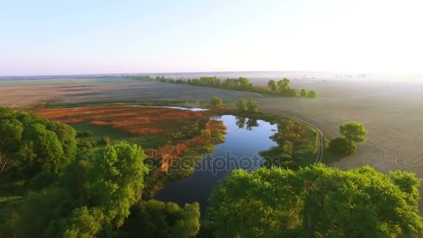 4k letecké. Letět nad jezero a stromy — Stock video