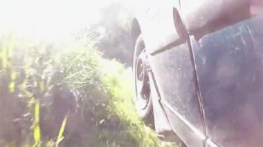  Araba yeşil yaz ahşap çim ile devam ediyor. POV klip