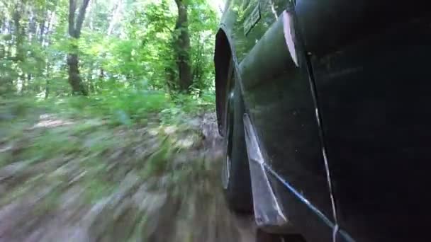Samochód jedzie na drewno zielone lato. POV klip — Wideo stockowe