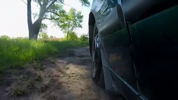 車は、草で夏の田舎道に行きます。Pov クリップ — ストック動画