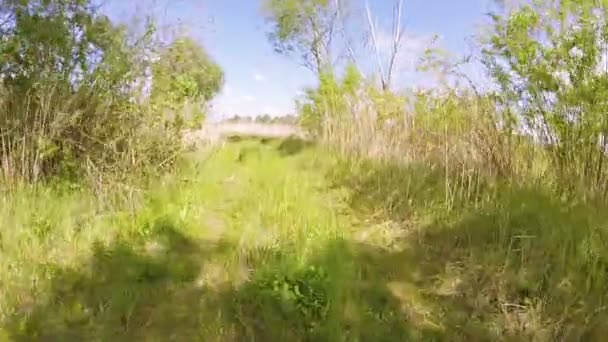  Voiture va sur la route rurale d'été avec de l'herbe. Clip POV 