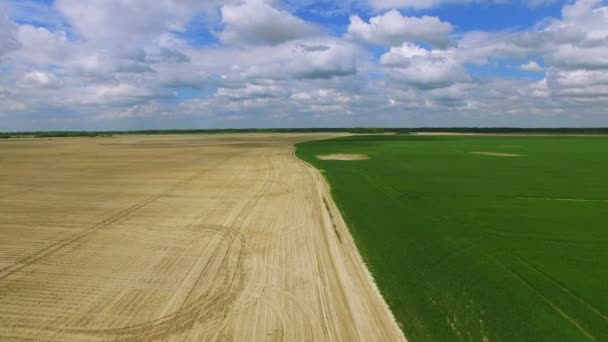 4 k。空中。緑の農業夏フィールド上空を飛行します。農家のチーム — ストック動画
