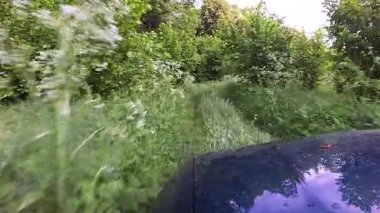  Yeşil araba ahşap yaz yolda olacak. POV klip