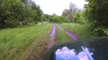 Yeşil araba ahşap yağmur sonra yaz yolda olacak. POV klip