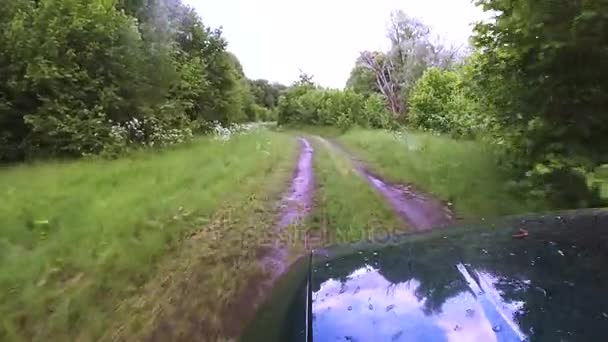 Зеленый автомобиль едет по летней дороге после дождя в лесу. POV-клип — стоковое видео