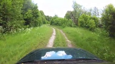  Yeşil araba yaz toprak yol ahşap glade içinde devam ediyor. POV klip 