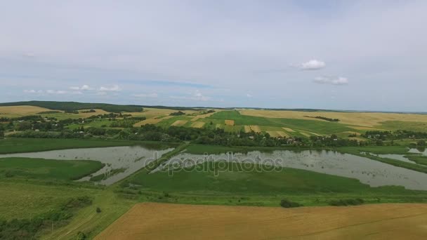 4k. Luchtfoto. Vliegen over groene en gele agrarische velden met vijver. Team van de boer — Stockvideo