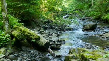 4 k. küçük dağ nehir taşları ve moss ile. Dolly etkisi 