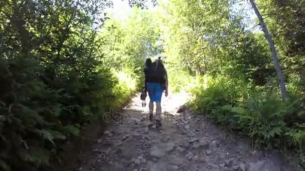Мужчина фотограф и блогер отправляются по дороге в горный лес — стоковое видео