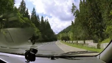 İç araba. Ahşap ve evleri ile yolda sürücü