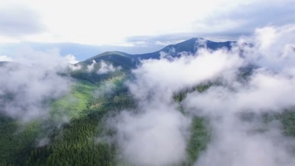 4k. Antény. Fly jezero pták v oblacích v horách s dřevem. Oblíbené natáčení — Stock video