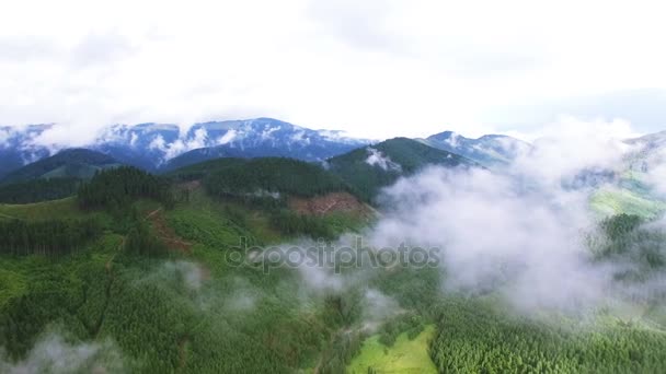 4K .Aerial. Fly in clouds in mountains with wood. Real shoot — Stock Video