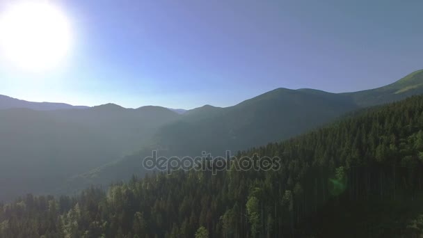 4k. Εναέρια ξύλο τοπίο. Λόφους βουνά με ξύλο και τον ήλιο. Πανόραμα — Αρχείο Βίντεο