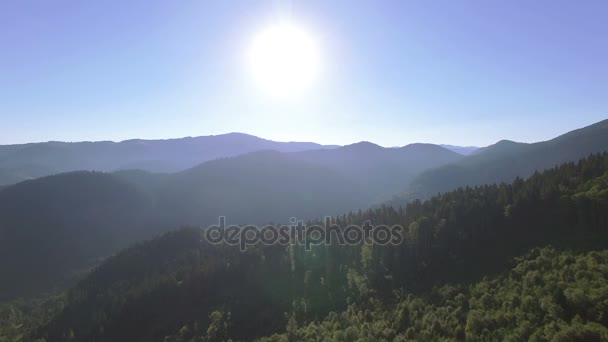 4k. Letecký dřevěných krajina. Hory hory s dřevem a slunce — Stock video