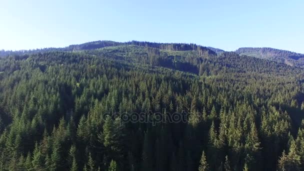 Paysage en bois aérien 4K. Montagnes collines avec bois — Video