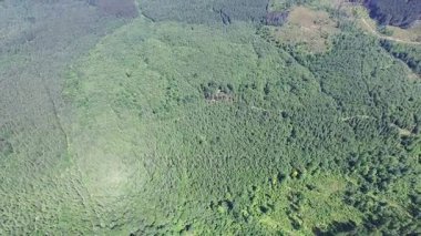 4k. Ahşap ile hava dağlar tepeler. Kamera yetiştirme