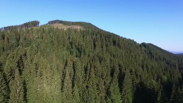 4k. Antenowe summer krajobraz. Góry wzgórza z drewna. Boczne lotu — Wideo stockowe