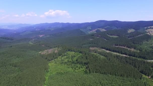 4K. Montañas aéreas colinas con madera. Panorama — Vídeo de stock