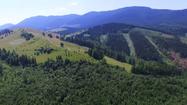 4K .Paesaggio aereo. Volare sopra la collina di montagna con legno — Video Stock
