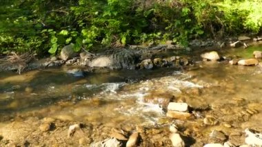 4 k. güneşli küçük dağ nehir taşları olan ahşap. Panorama 