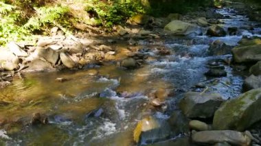 4 k. güneşli dağ nehir taşları olan ahşap. Panorama 
