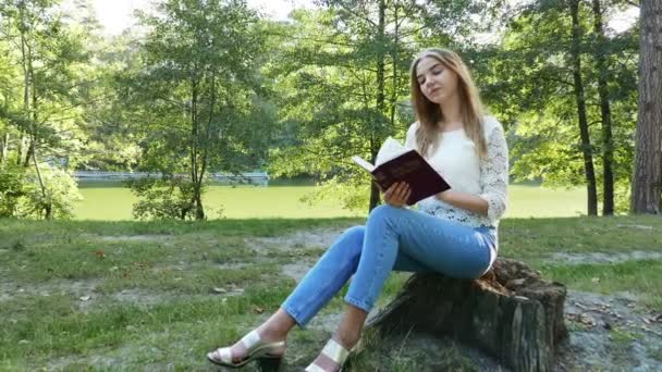 4k.Young chica moderna lee la Biblia en el parque de verano. Creencia cristiana. Control deslizante — Vídeo de stock