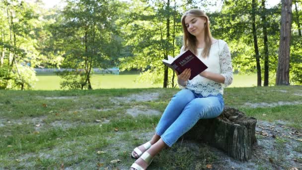 4k. Moderne meisje leest de Bijbel in zomer park. Christelijk geloof — Stockvideo